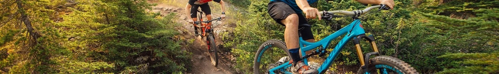 Mountain Bike Life Cycle Bike Shop Eugene Oregon