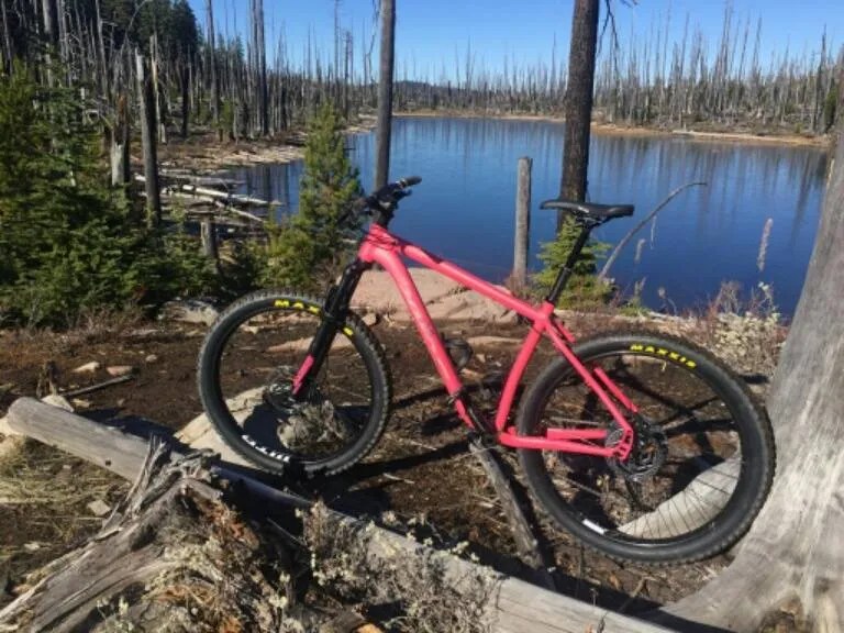 New 2019 Salsa Timberjack Bikes Life Cycle Bike Shop Eugene Oregon