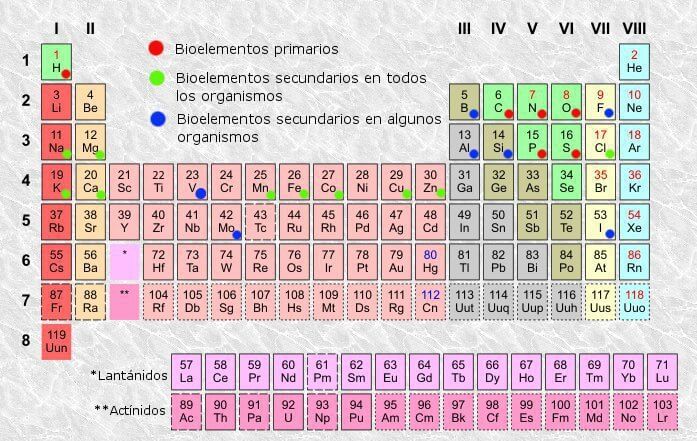 Bioelementos clasificación (primarios y secundarios)