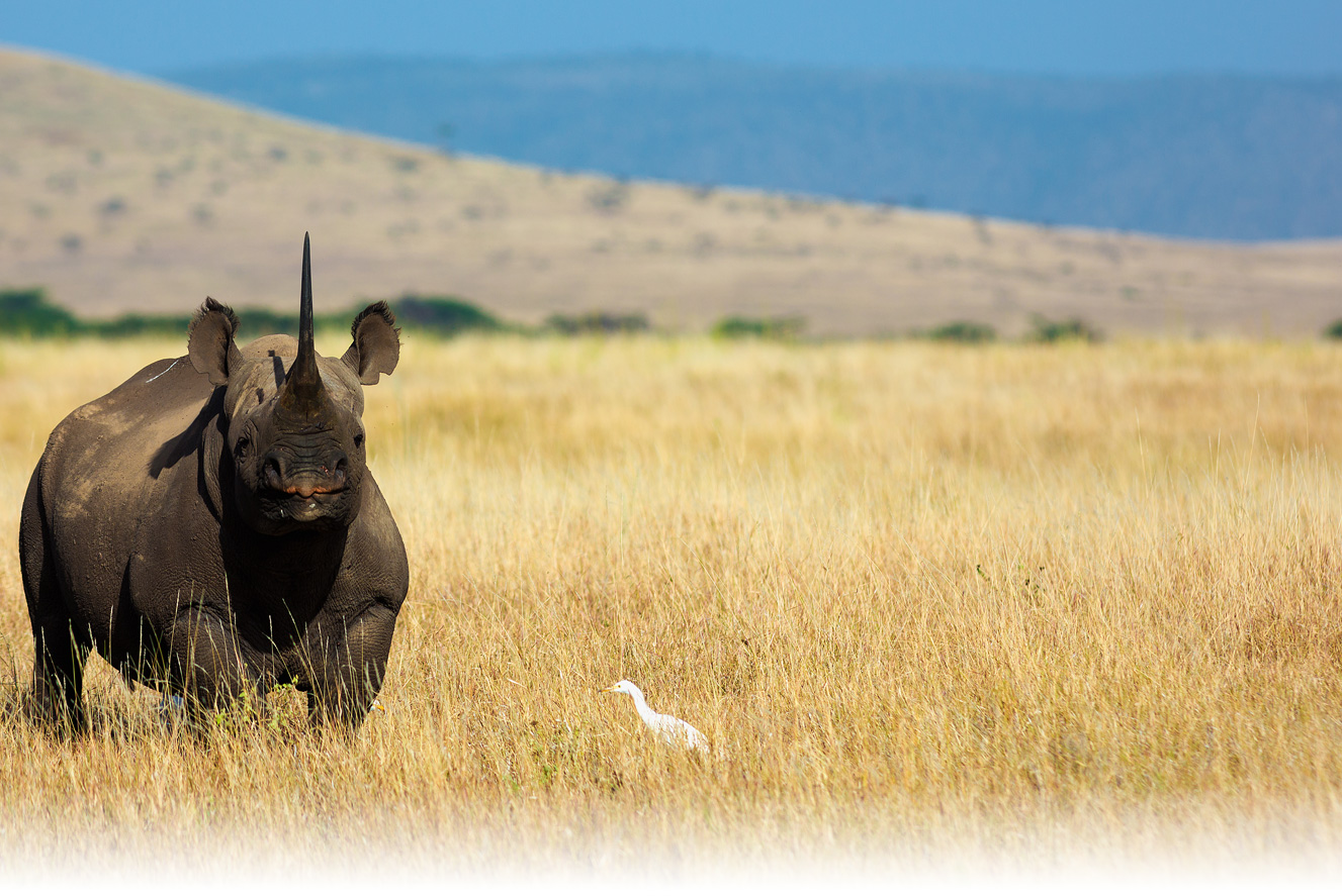 10 nature reserves you should visit at least once in your life LifeGate