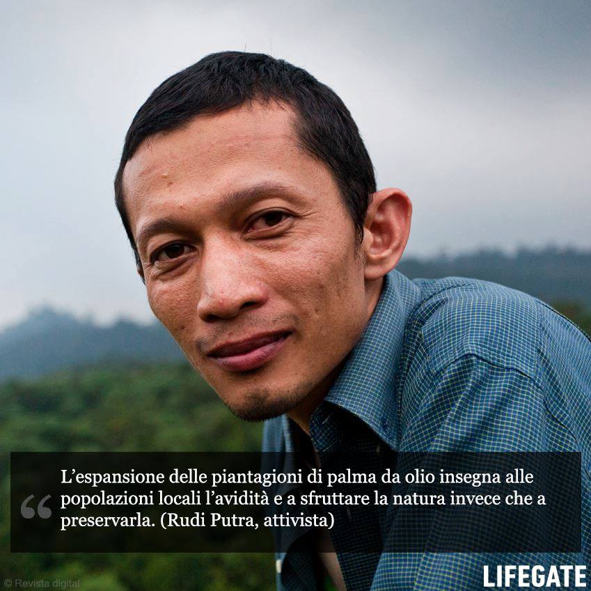 Citazioni e aforismi brevi sulla sostenibilità ambientale