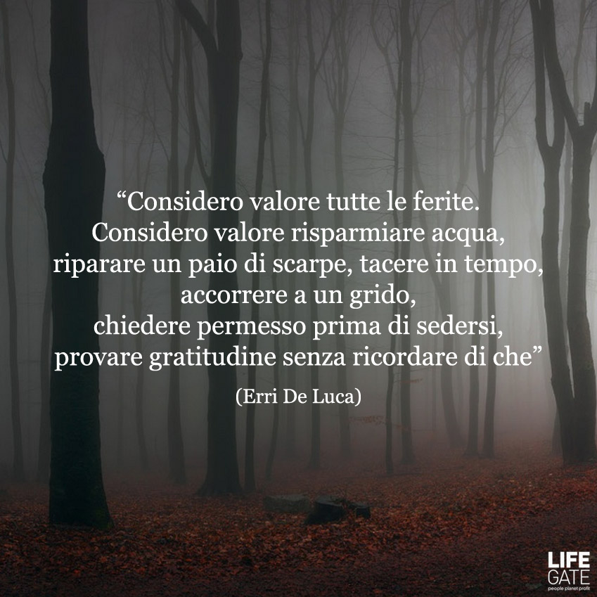 Le citazioni più belle per sempre 4 LifeGate