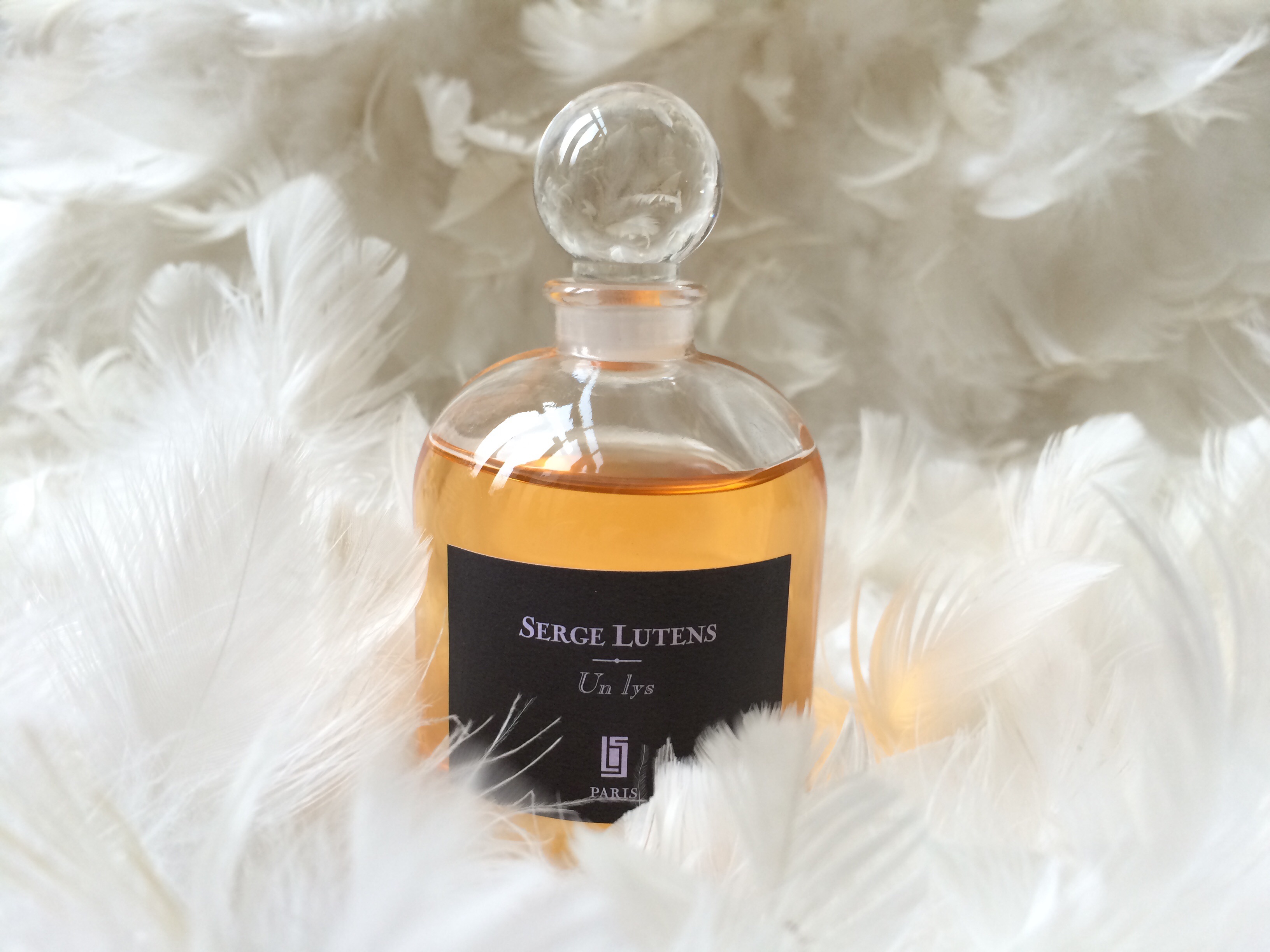 Winter Whites Floral Perfumes For Cold Weather Life in a Cold Climate