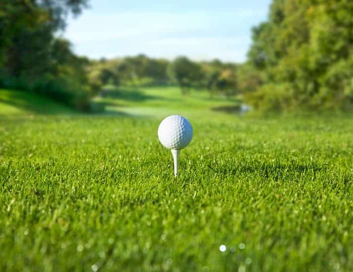 16 of the Best Golf Courses in Minnesota https//www.lifeinminnesota
