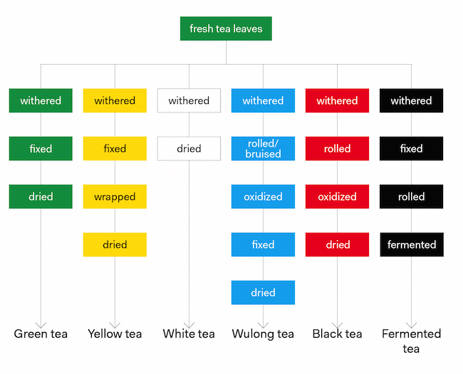 6 Different Types of Tea The Ultimate Guide Life is Better with Tea