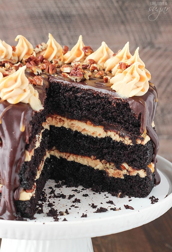 Turtle Chocolate Layer Cake Life Love and Sugar