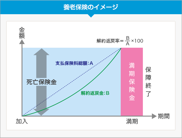 保険のしくみPart5 養老保険 FP事務所ライフナビ