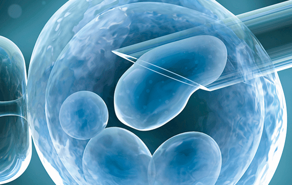 Professor Warns IVF is Producing a Generation of Infertile Children