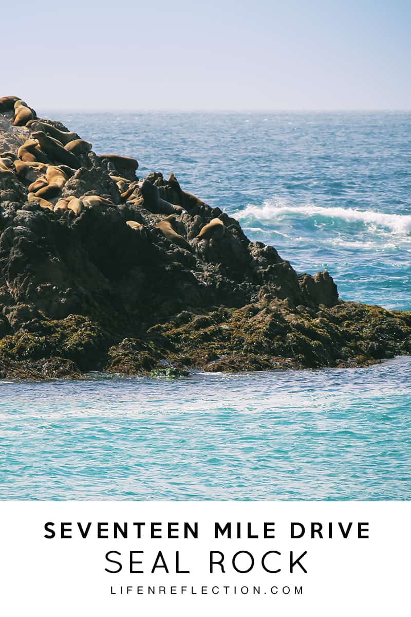 Seal Rock on 17 Mile Drive LifenReflection