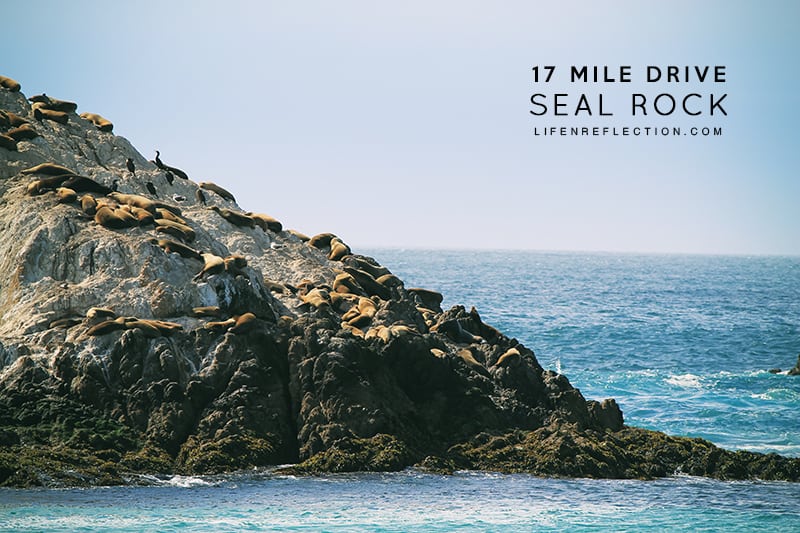 Seal Rock on 17 Mile Drive LifenReflection
