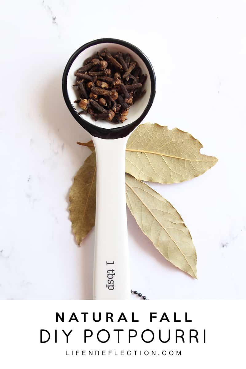 DIY Natural Fall Potpourri LifenReflection