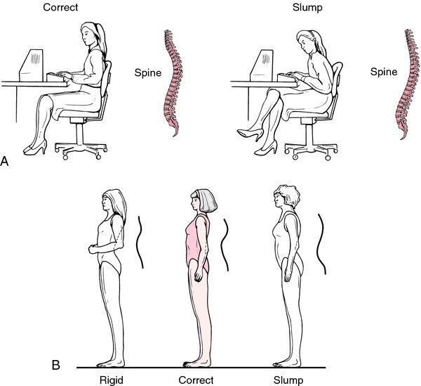 Ergonomics of Sitting at a Computer Desk Guide To Prevent Injury