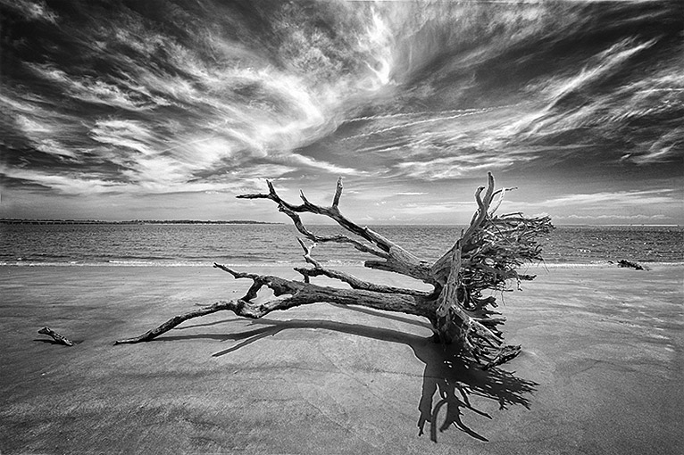 Infrared Photography Getting Started Guide