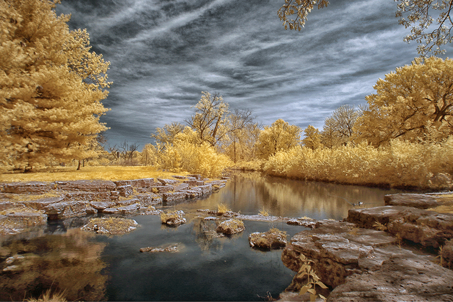 First Shoot Canon 7D MKII Super Color Infrared Conversions, IR
