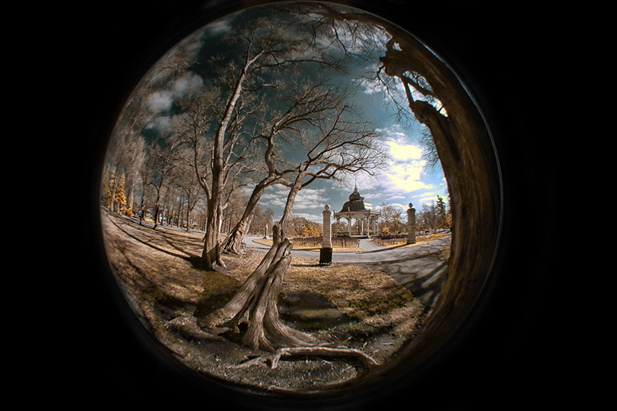 The Lensbaby Circular Fisheye Lens LifePixel Digital Infrared