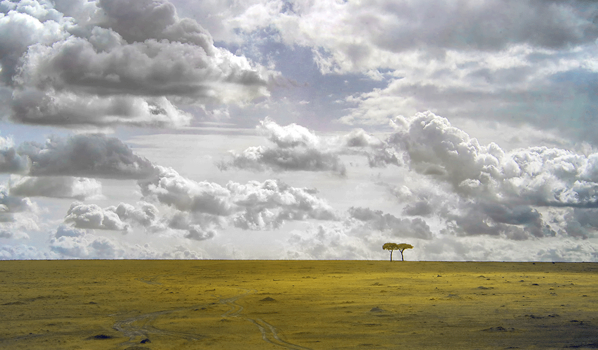 Fake Art (an editorial) Infrared Conversions, IR Modifications