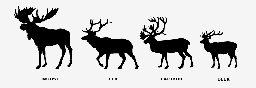 "caribou" American Sign Language (ASL)