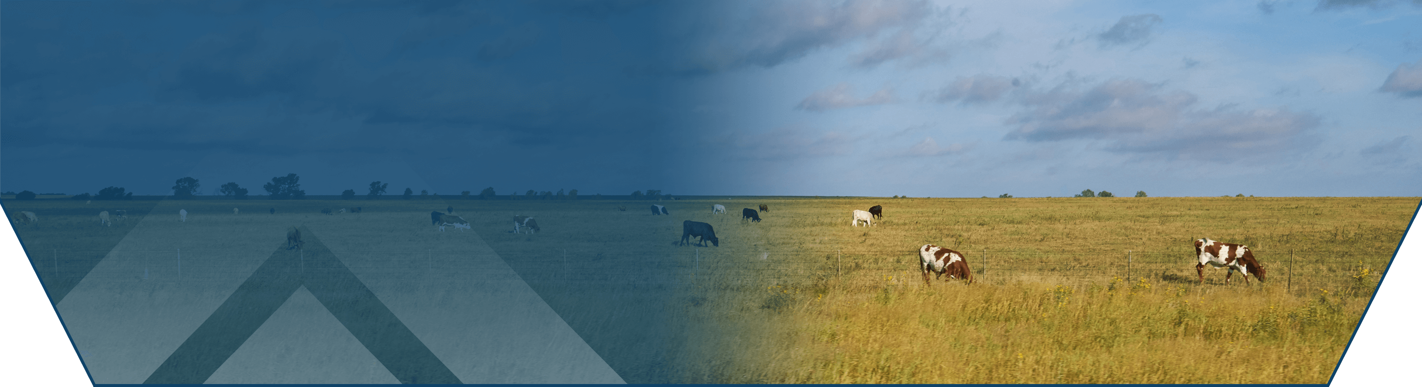 Locations Lifetime Federal Credit Union