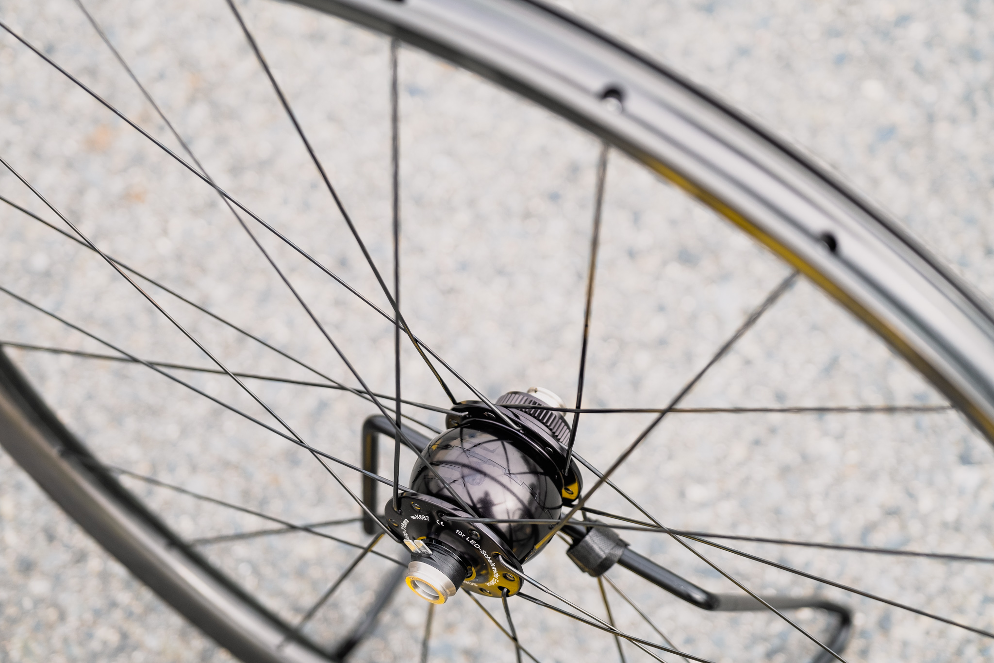 Beast GR25 + SON Delux12 + DT Swiss 350 Light Wolf Studio