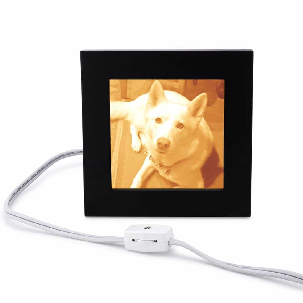 Pet memorial light Light Affection Unique Photo Gifts