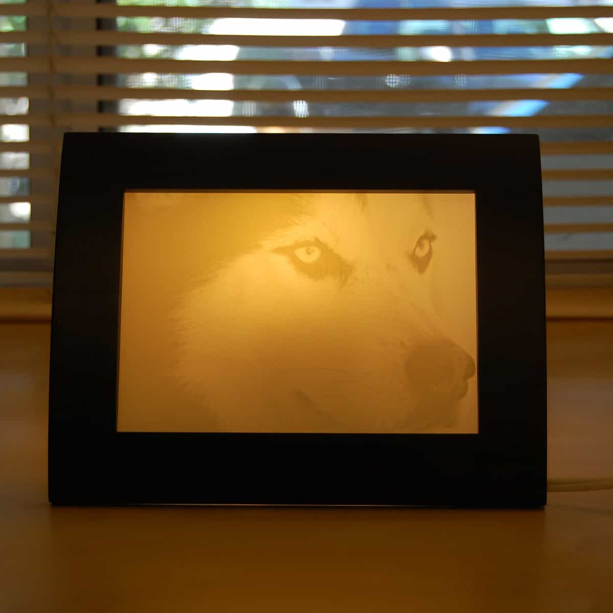 Pet memorial light Light Affection Unique Photo Gifts