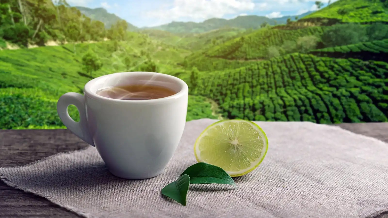 Bangladesh Tea Industry Current Challenges and Future Potential