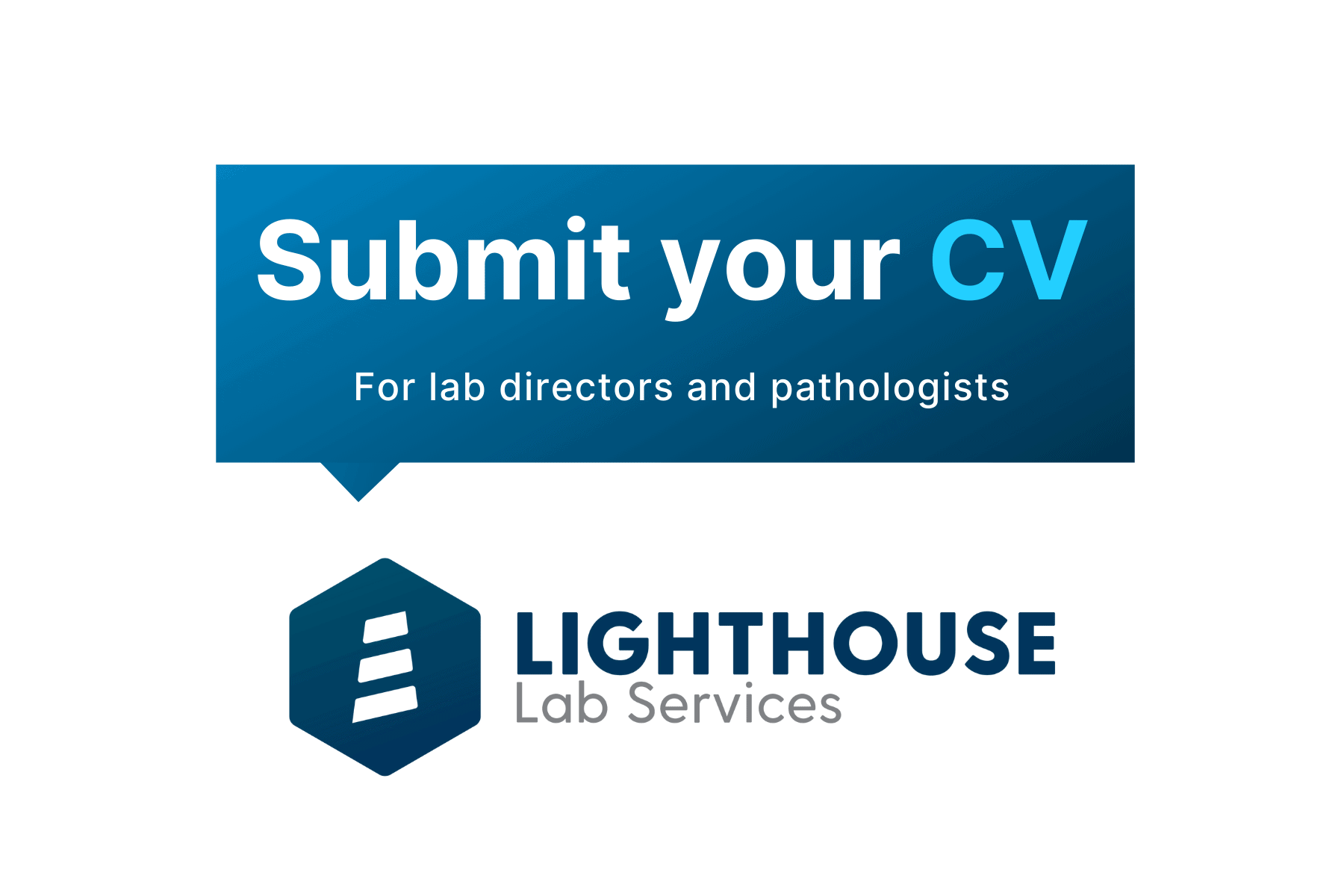 Lab Director CV Submittal Lighthouse Lab Services