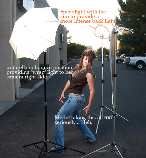 Shoot Thru Umbrella and Bounce Umbrella a Comparison ESSENTIALS For