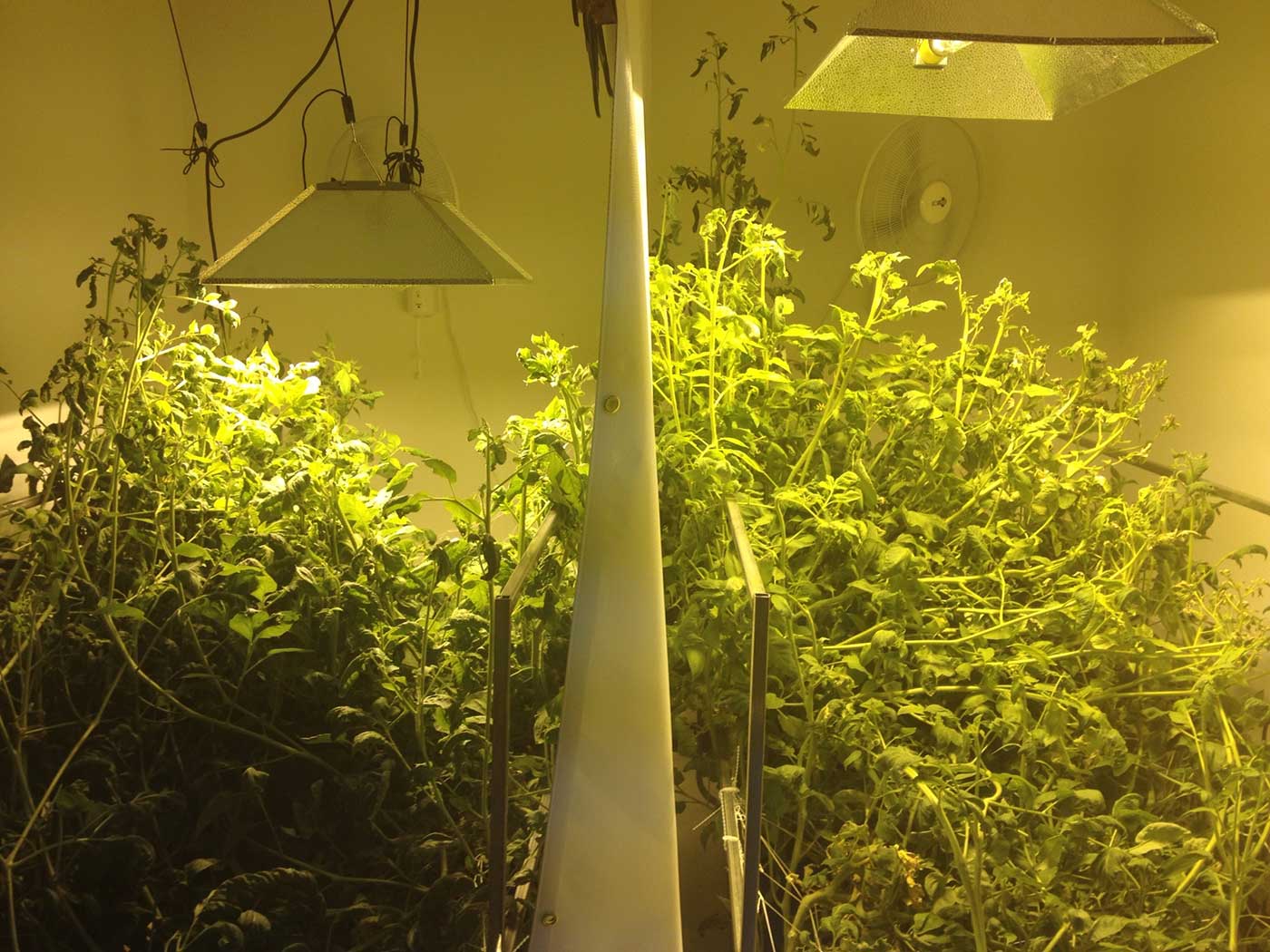 LightRail 101 Indoor Grow Light Systems & Equipment