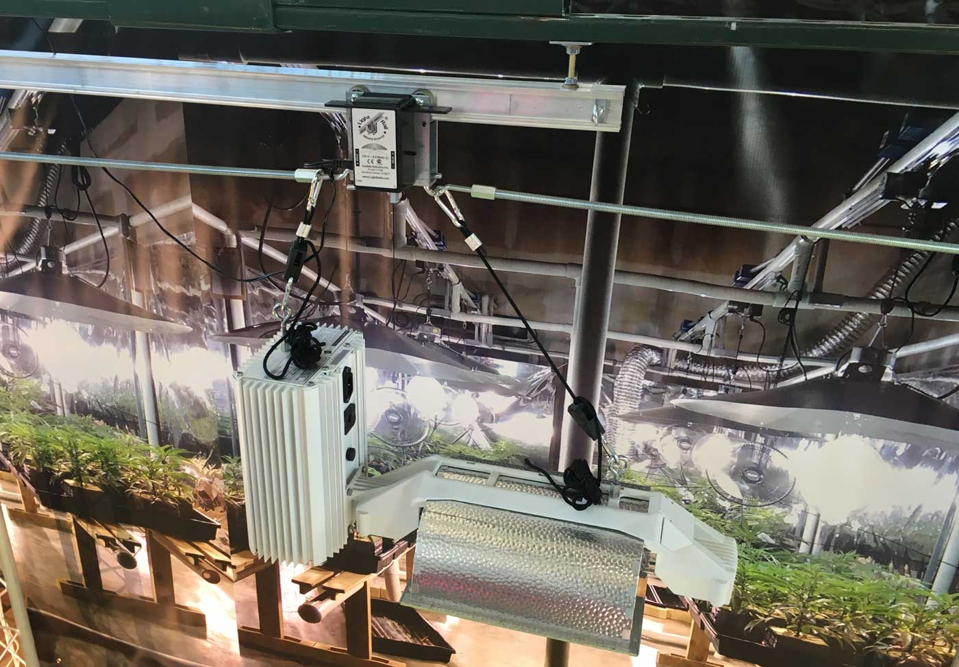Gavita Indoor Grow Lights on LightRail Light Movers