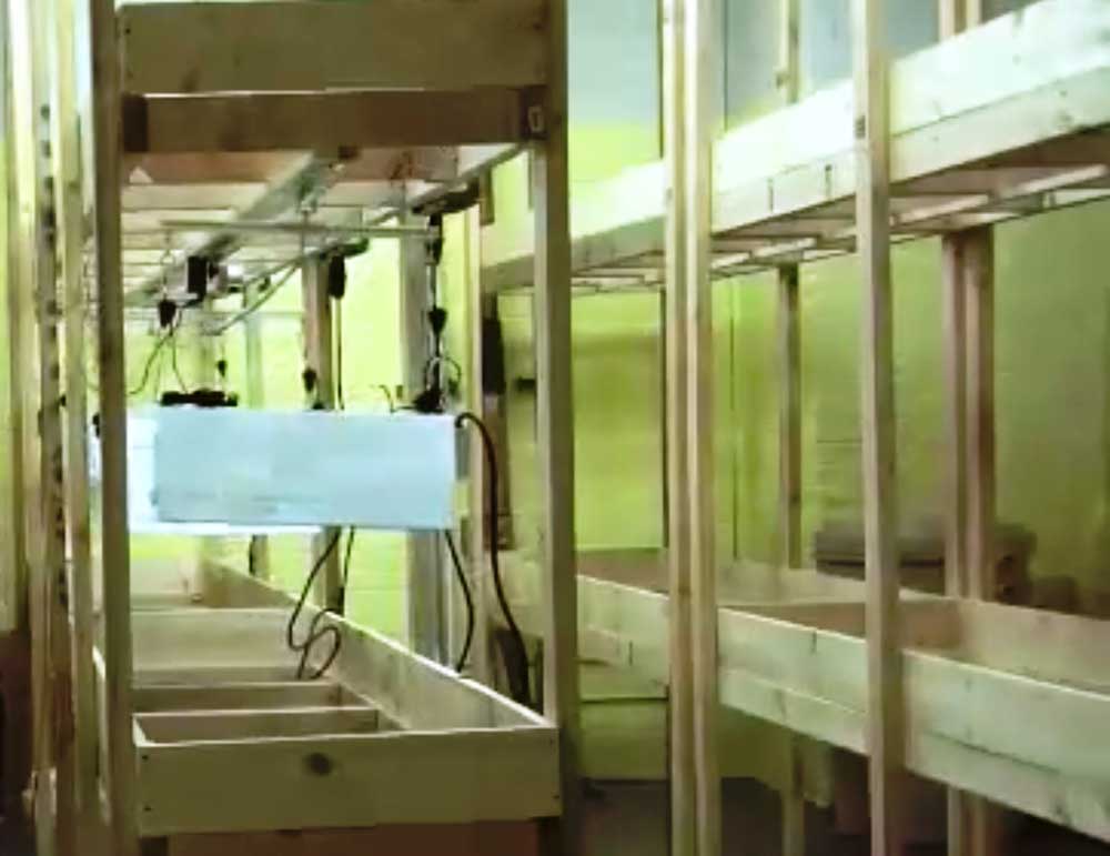 Grow racks with LightRail light movers inside the grow rack indoor