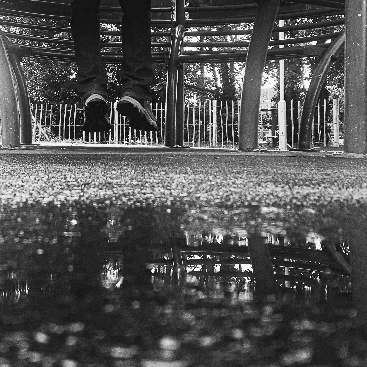 Smartphone Street Photography And Cute Pet Shots Check Out Our Latest