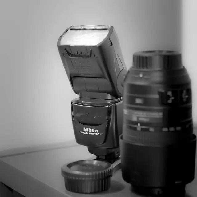 A Quick Guide to Fill In Flash Great Tips to Help You Out Light