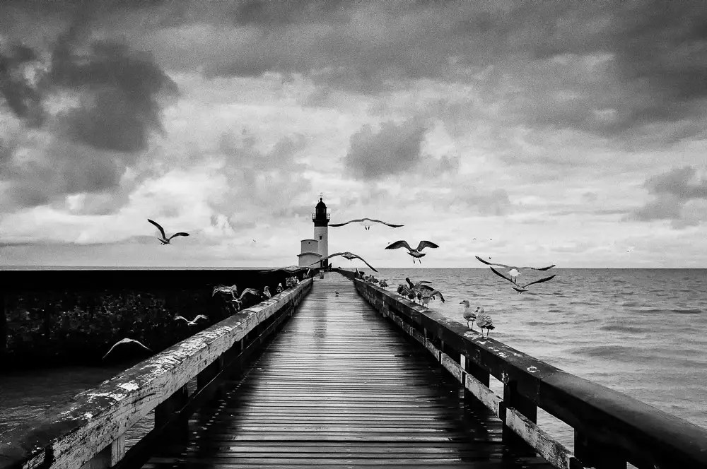 15 Amazing Black & White Landscape Photos That Will Leave You in Awe Light Stalking