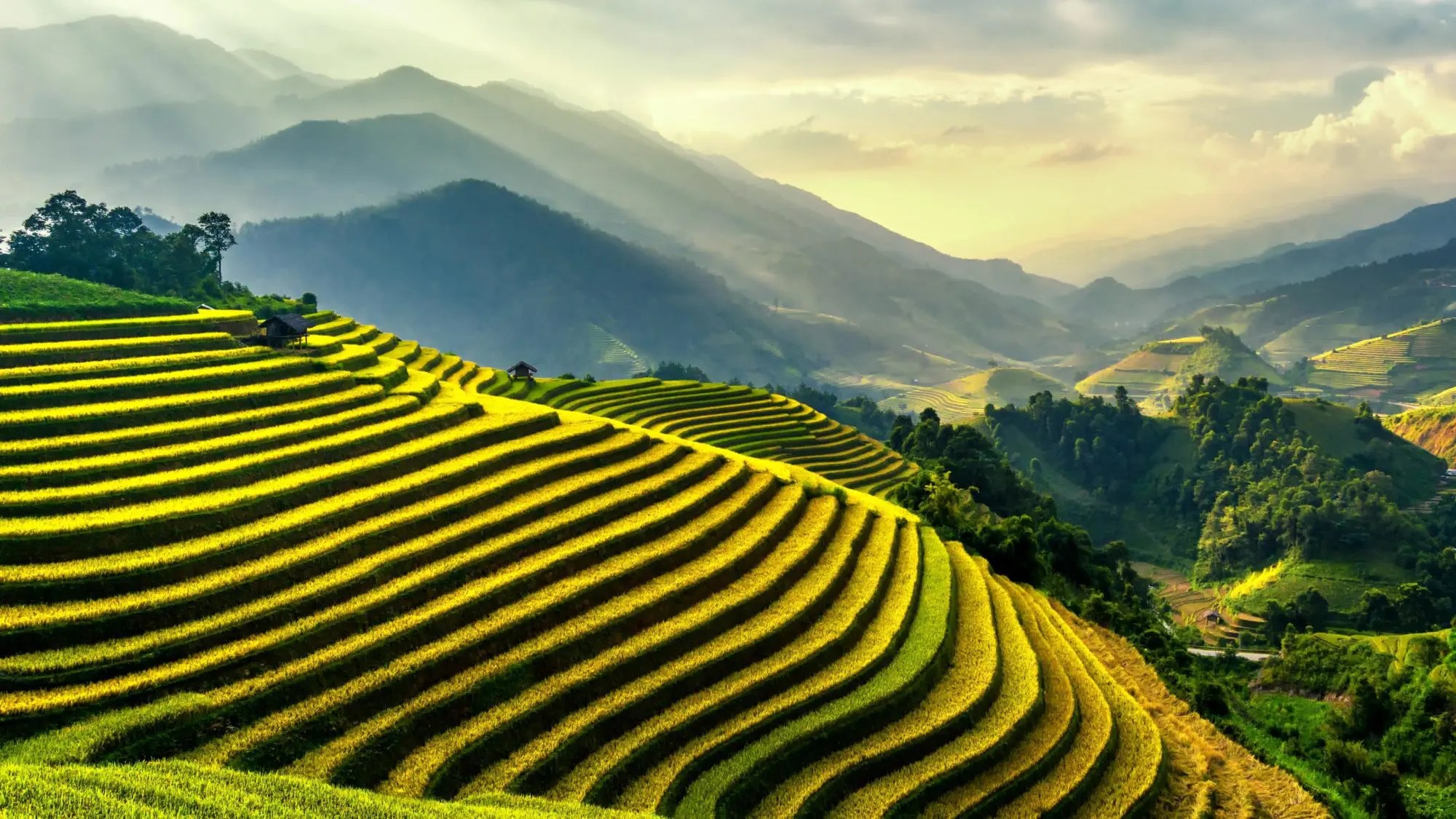 The Stunning Rice Terraces of Asia 22 Incredible Landscapes Light