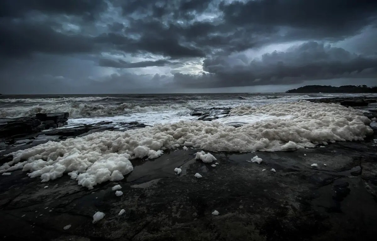 Why You Need to Know How to Shoot With a Phone Camera Light Stalking