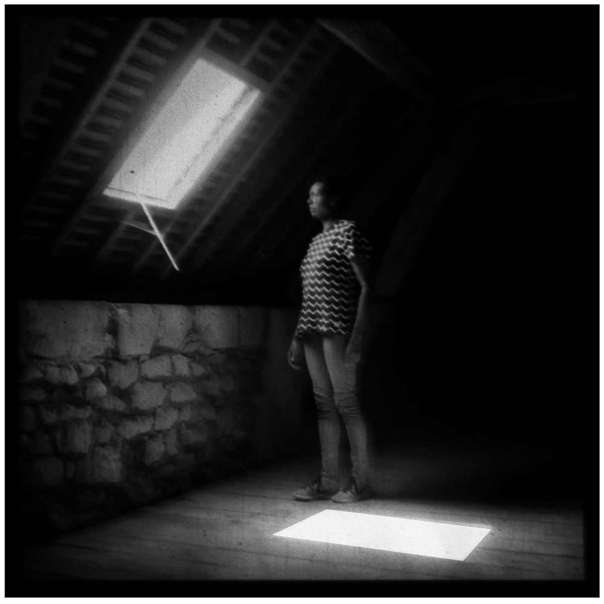 Ingrid Pollard Light Work