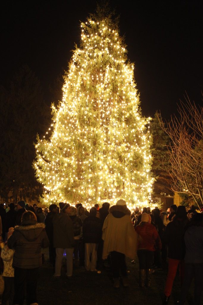 Rvc 2022 Christmas Tree Lighting Oh Chilly Night' As Rockville Centre Lights Its Christmas Tree | Herald Community Newspapers | Www.liherald.com