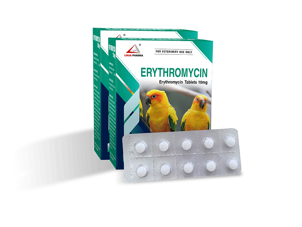 China Erythromycin Tablets 10mg factory and manufacturers Lihua