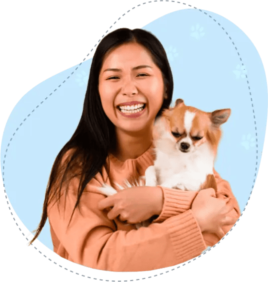 Voted 1 Pet Grooming in Jurong West Likeable Pets