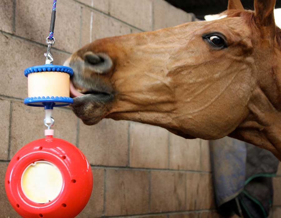 Why Choose Likit Horse Treats & Toys Equine Boredom Relief & Treats