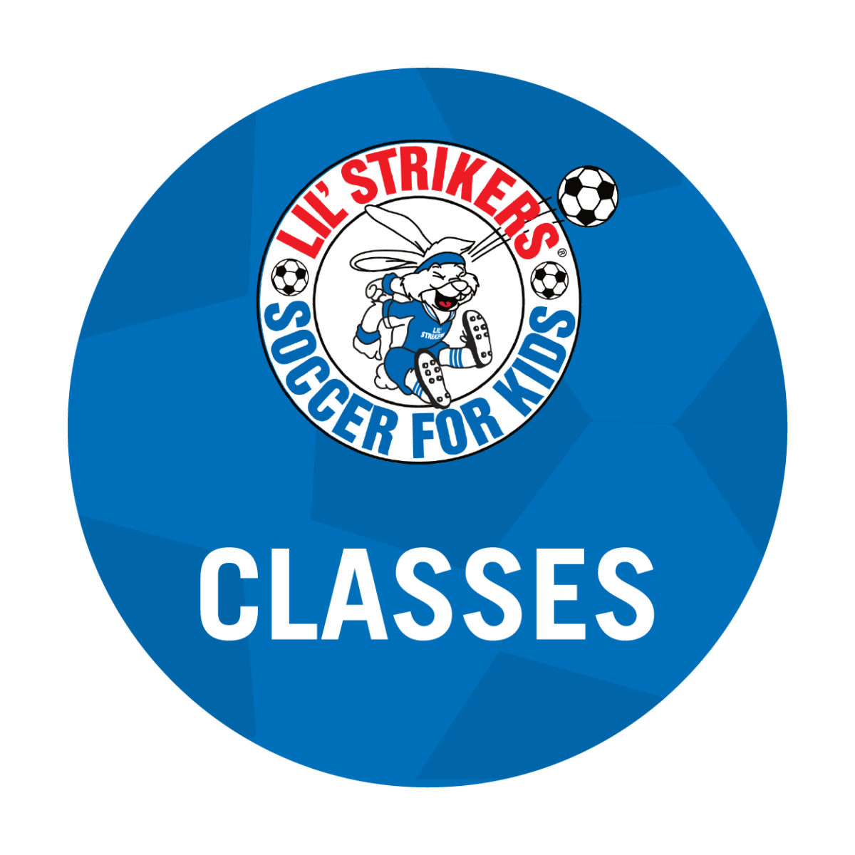 Try a free soccer class for kids in Richmond, Virginia Lil' Kickers