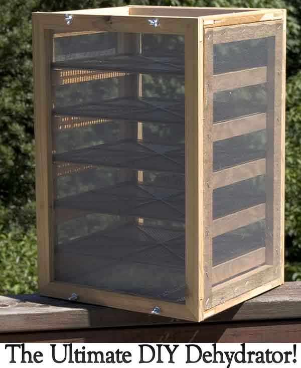 The Ultimate DIY Dehydrator!