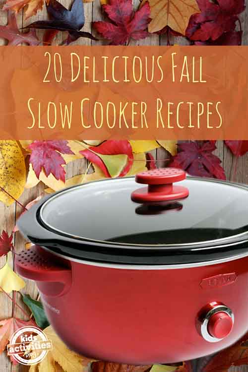 20 Delicious Fall Slow Cooker Recipes
