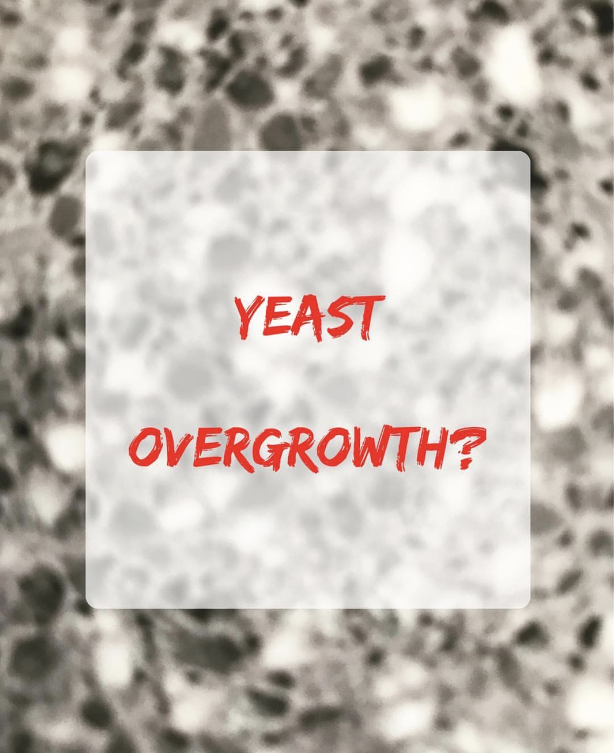 What To Do If You Have Yeast Overgrowth lilsipper