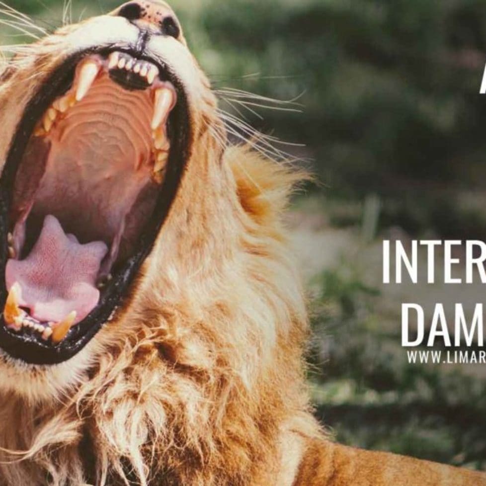 How to Tame Your Anger Depression & Relationship Counselling Services