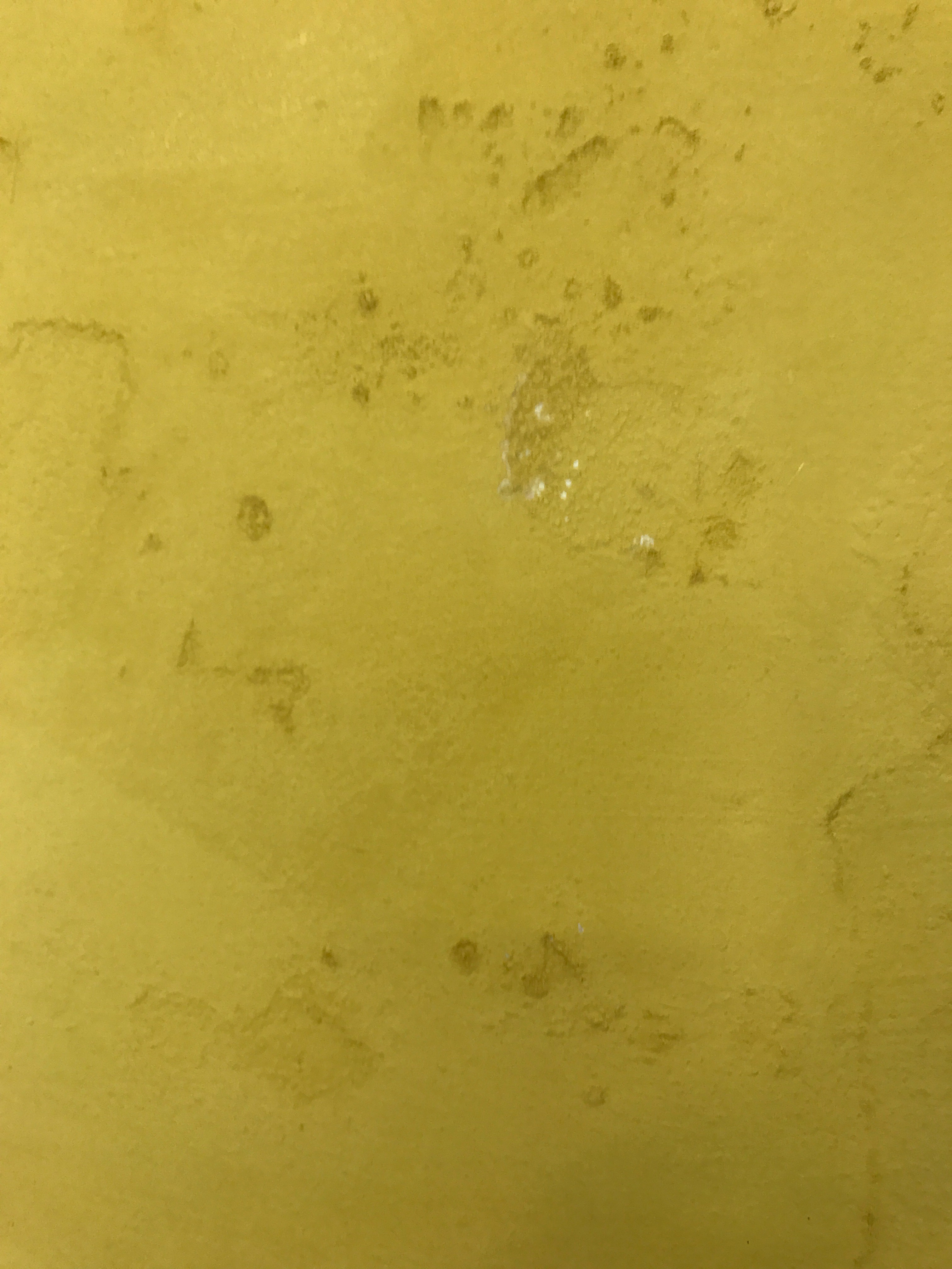 Does Paint Dry Blotchy at Thomas Her blog