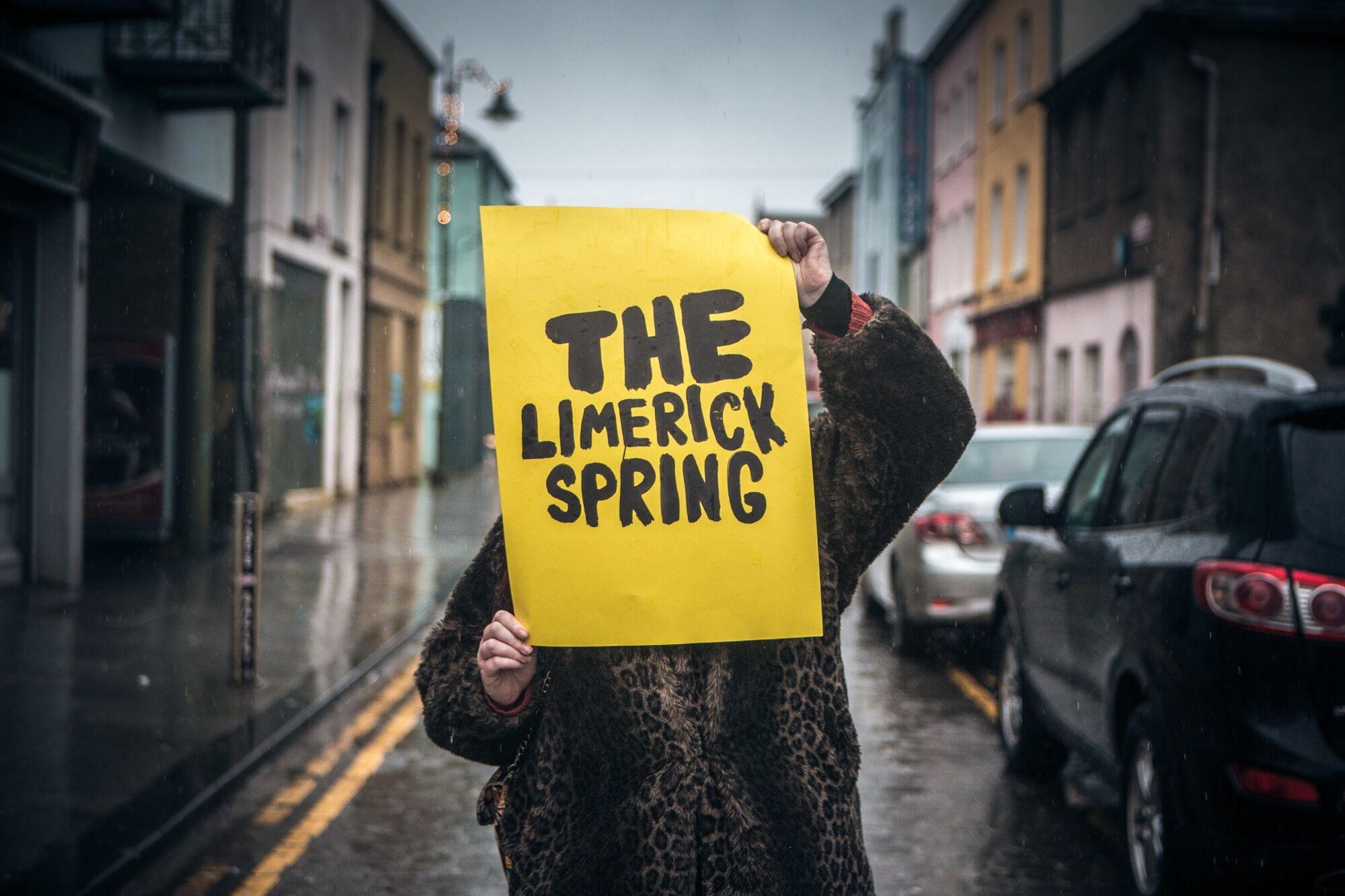Limerick Festival springs to life this February