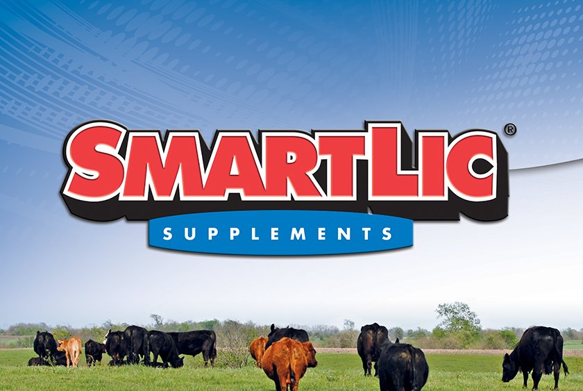 Brand Integration SmartLic Supplements Lime Valley
