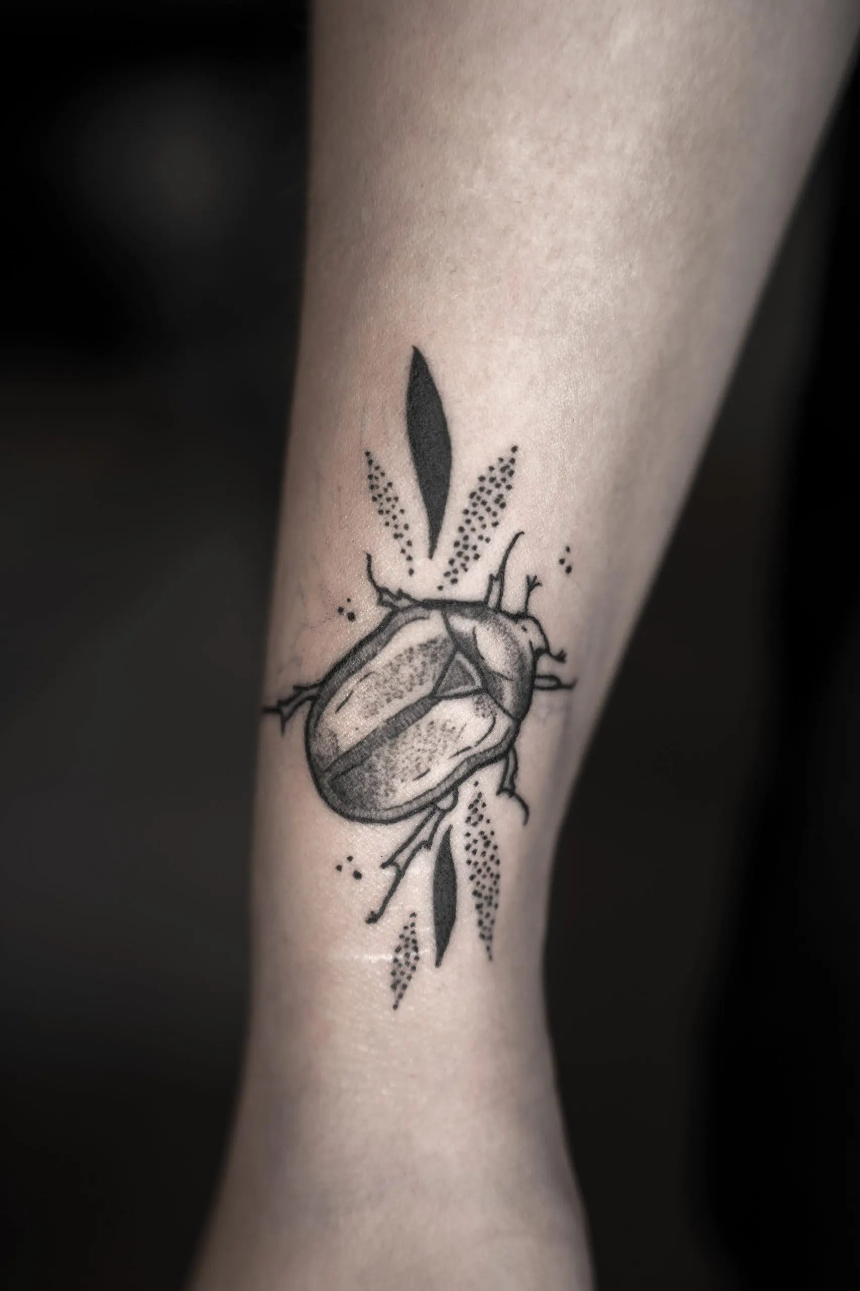 Janine Tattoo Studio Limpid Tattoo Art für Kitzingen Tätowierer